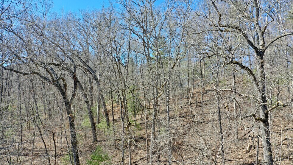 More Photos Of Lyle Wilson Rd, Cullowhee Land For Sale