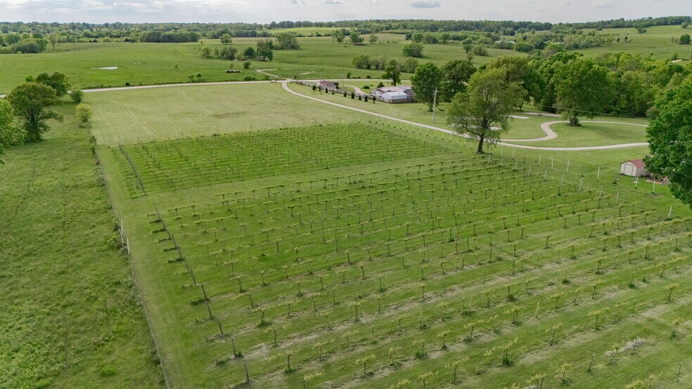 More Photos Of 8400 E 1320 Rd, Stockton Winery Vineyard For Sale