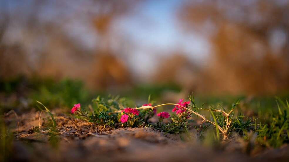 More Photos Of Texas 97, Cost Land For Sale