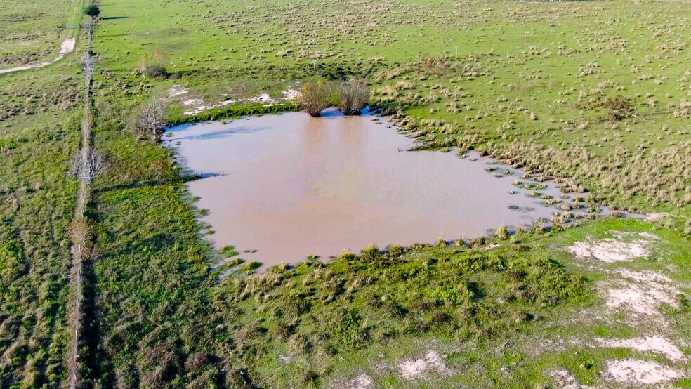 More Photos Of 000 Pyka Rd, Sealy Land For Sale