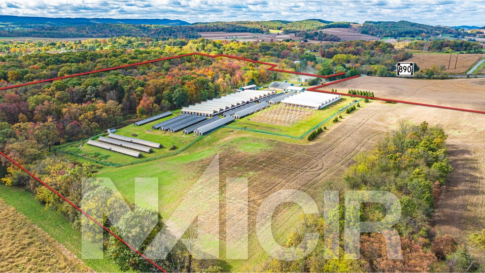 More Photos Of , Sunbury Flex For Sale