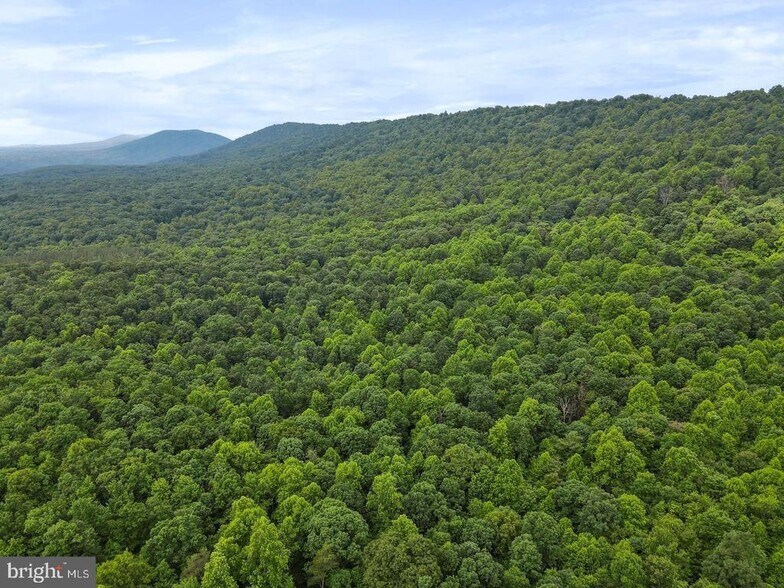 More Photos Of Porter's Ln, Hancock Land For Sale