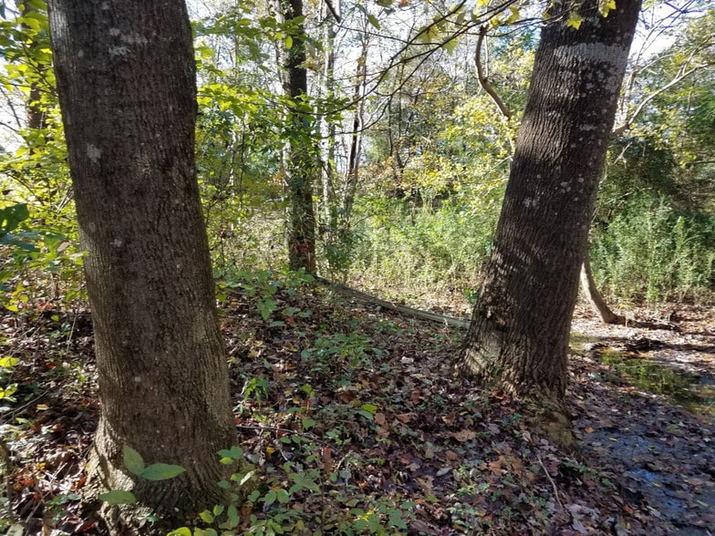 0 Don Juan Rd, Hertford, NC 27944 Land For Sale