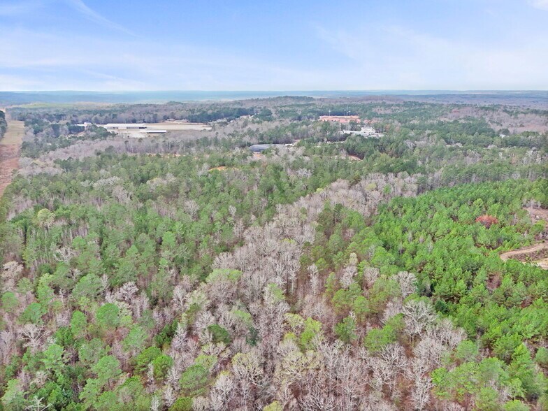 More Photos Of 16.31+/- AC Franklin Parkway Franklin GA 30217, Franklin Land For Sale