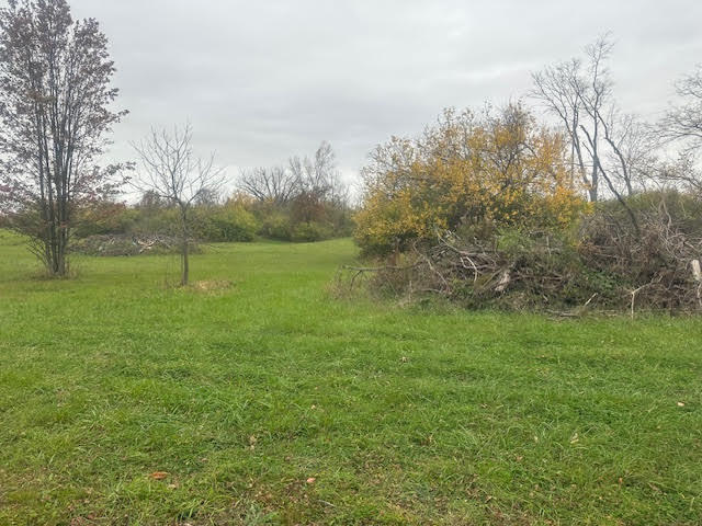 More Photos Of 2608 Harvey Rd, Mason Land For Sale