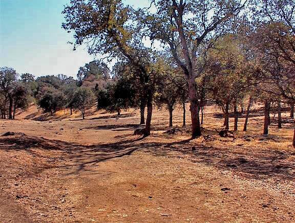 More Photos Of 38176 Cardinal, Yokuts Valley Land For Sale