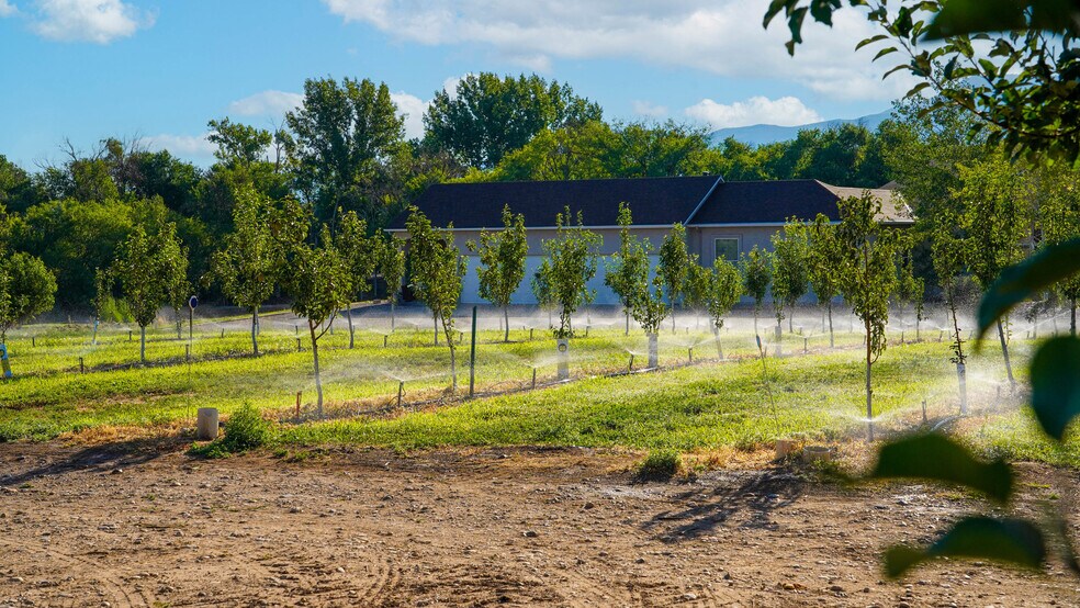 More Photos Of 3376 C Rd, Palisade Specialty For Sale