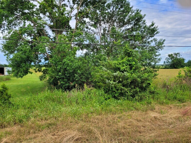 More Photos Of 110 Private Road 7316, Clarksville Land For Sale