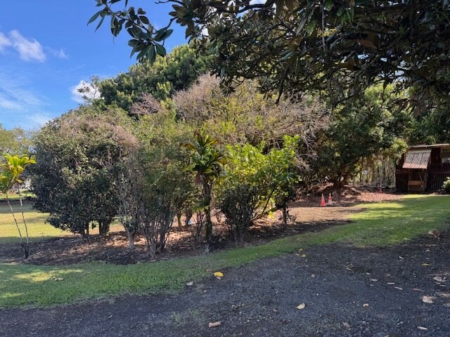 More Photos Of 2501 Kilauea Ave, Hilo Land For Sale