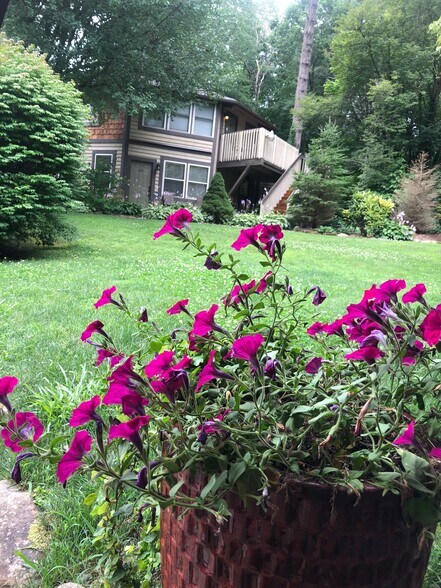 More Photos Of 19259 Rosman Hwy, Sapphire Hotel For Sale