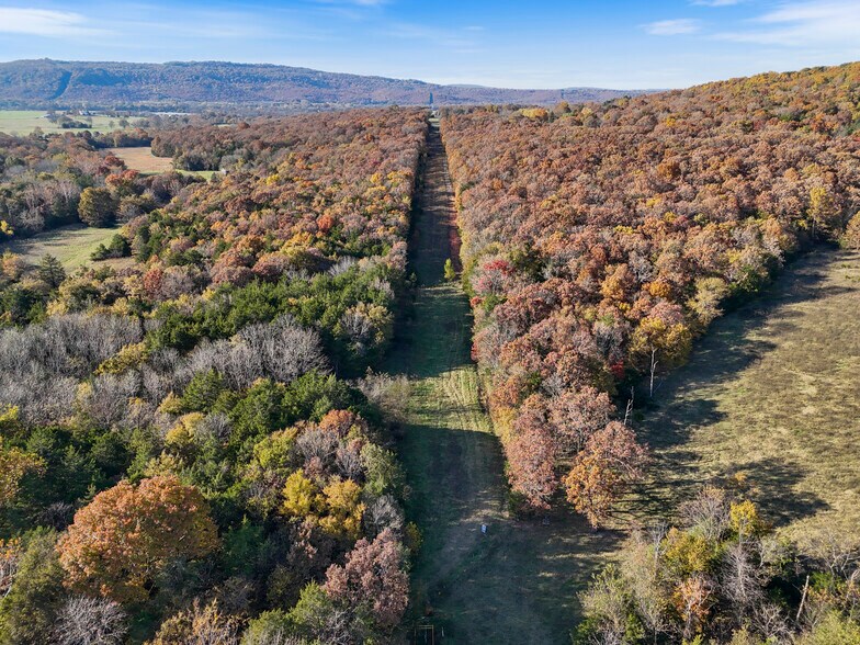 More Photos Of WC 136 Downing Rd rd, Elkins Land For Sale
