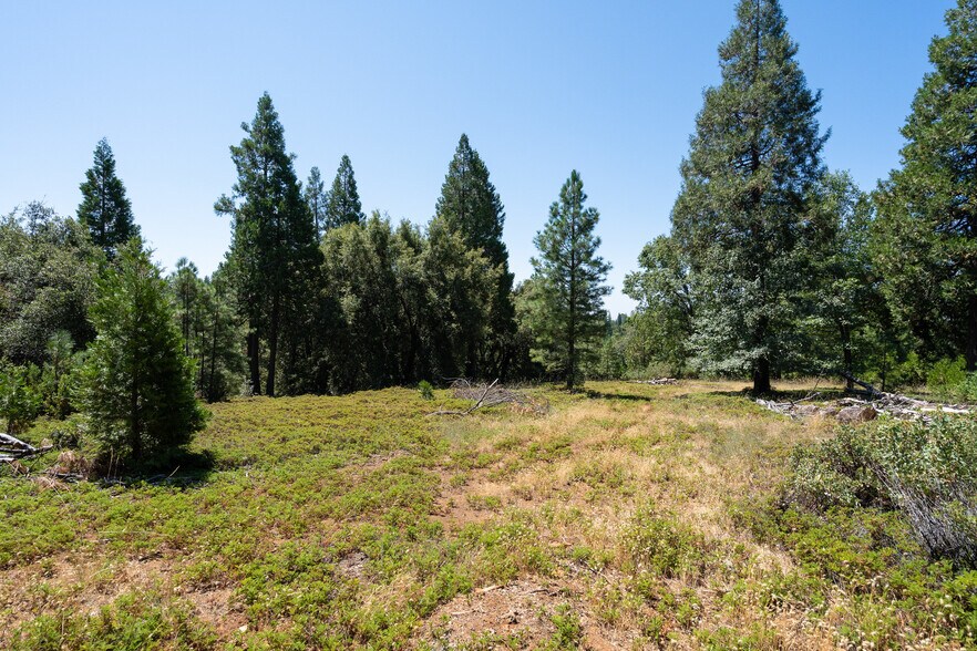 More Photos Of 25755 State Highway 88, Pioneer Land For Sale