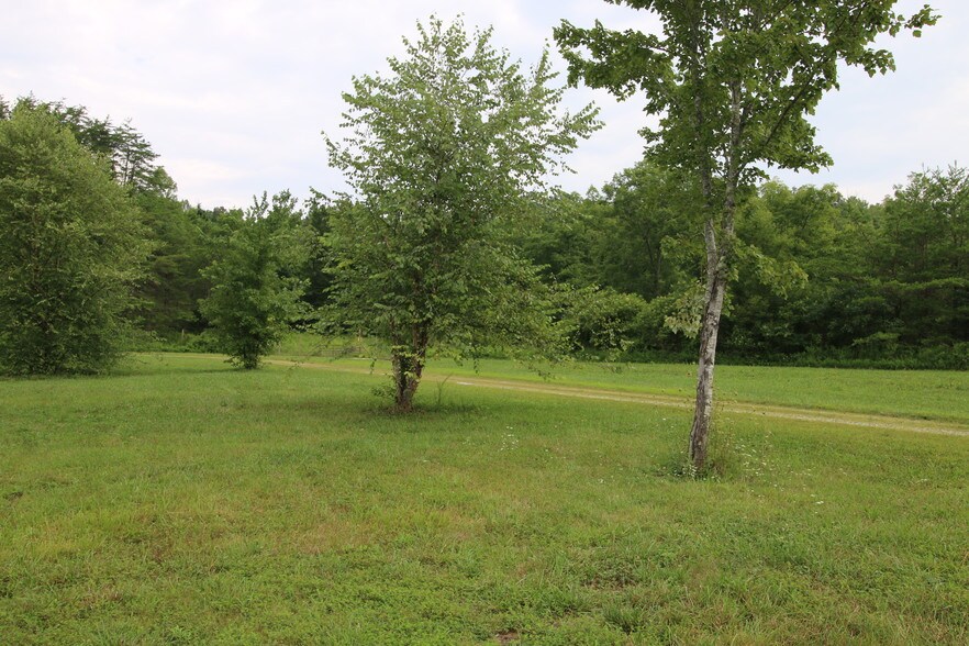 More Photos Of 11251 Highway 90, Parkers Lake Hotel For Sale