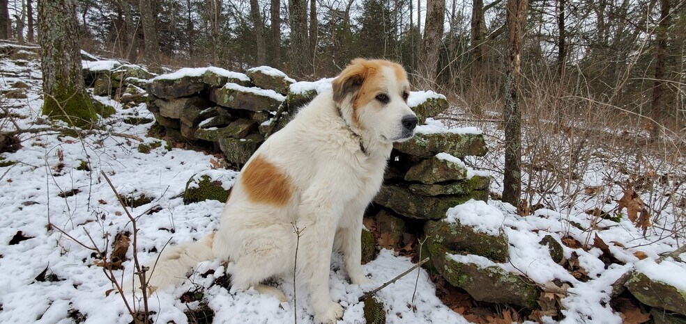 More Photos Of 4775 S 50th St, Aldrich Land For Sale