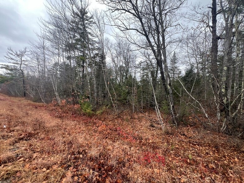 More Photos Of NH Route 25 @ Storage Road, Effingham Land For Sale