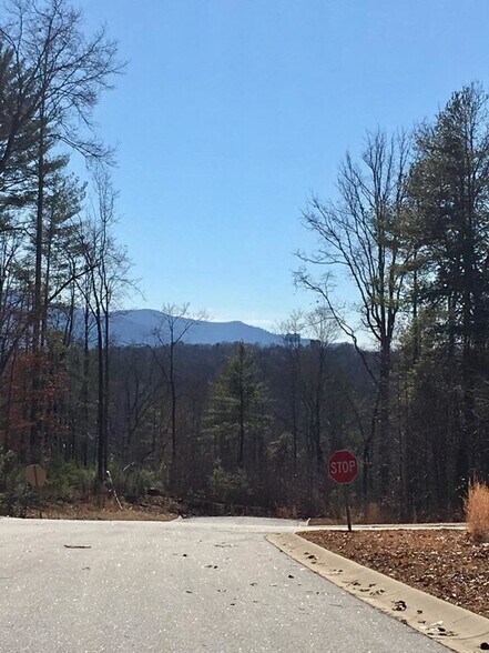 More Photos Of 0 Tulip Court, Morganton Land For Sale