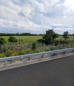 More Photos Of , Schiller Park Unknown For Sale