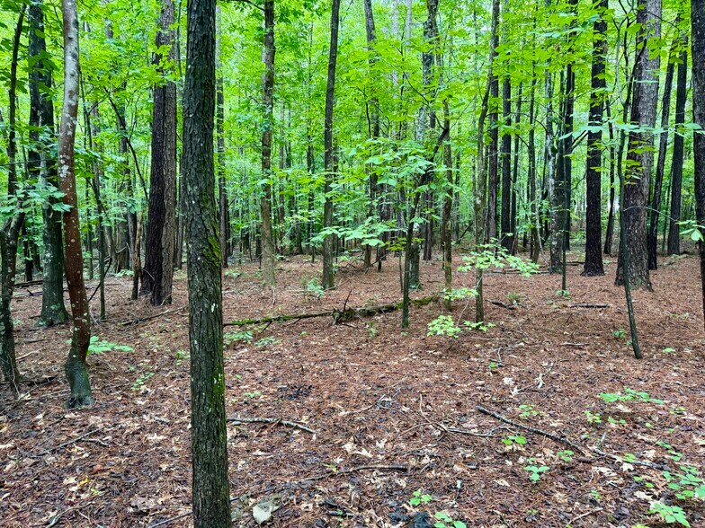 More Photos Of 3901 Old NC 86, Hillsborough Land For Sale