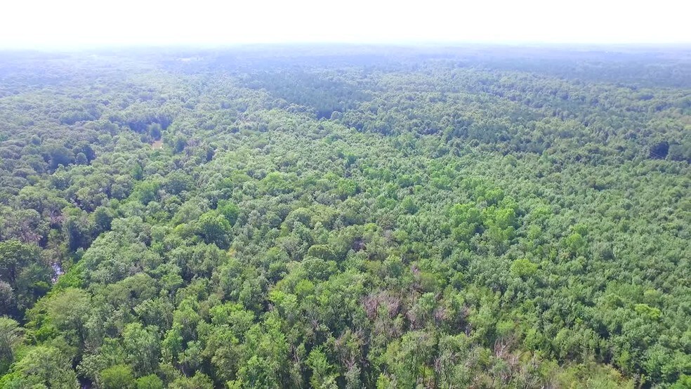 Primary Photo Of Taylor Rd & Highway 231, Montgomery Land For Sale