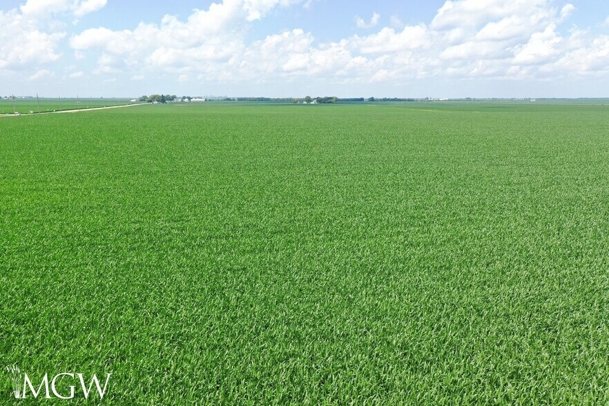 More Photos Of Illinois 17, Toluca Land For Sale