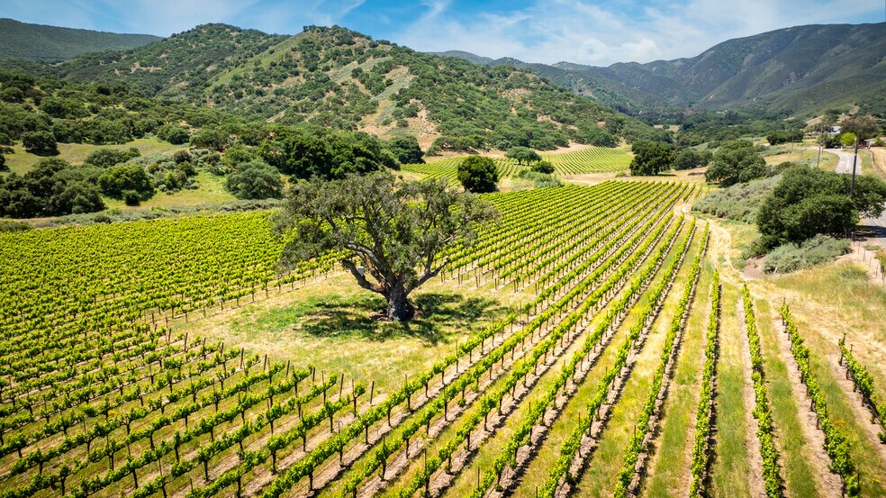 More Photos Of 35422 Paraiso Springs Rd, Soledad Land For Sale