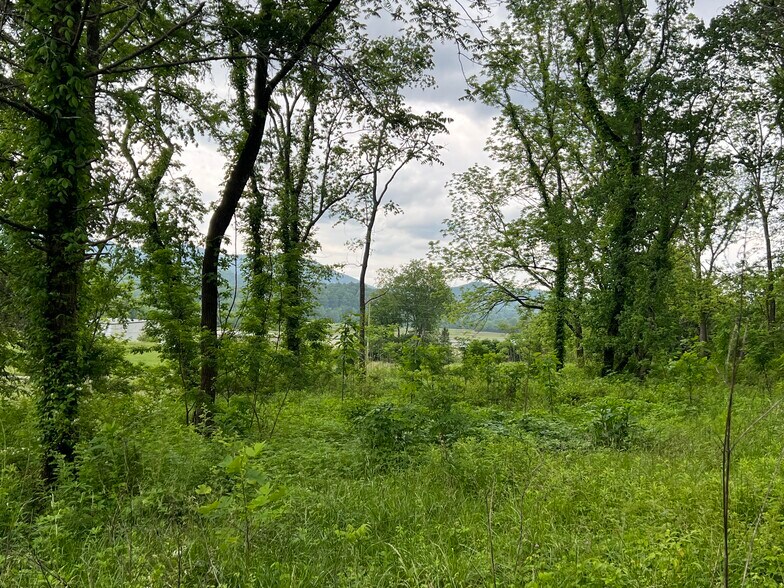More Photos Of 6387 Airport Rd, Andrews Land For Sale