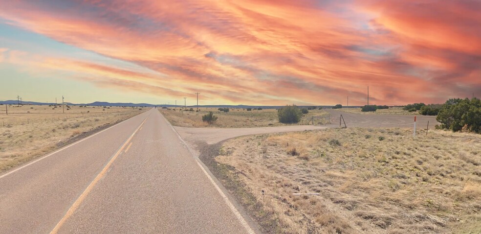 Primary Photo Of , Concho Land For Sale