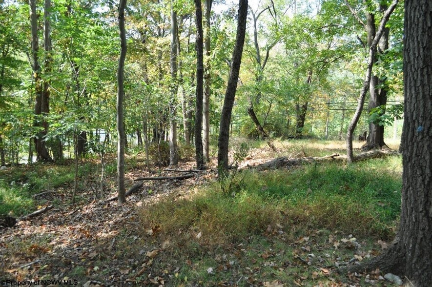 More Photos Of 3039 Earl L Core Rd, Morgantown Land For Sale