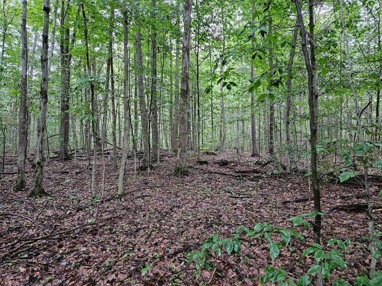 More Photos Of 3922 Kortwright Rd, Jamestown Warehouse For Sale