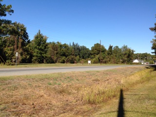 Primary Photo Of US Hwy 17, Darien Land For Sale