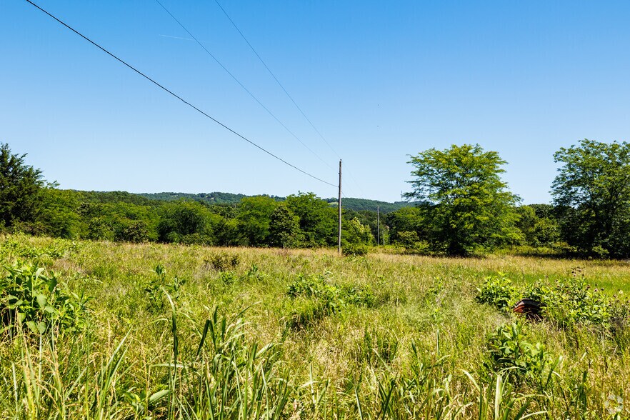 More Photos Of Carnation Ln @ Hwy 76, Cape Fair Land For Sale