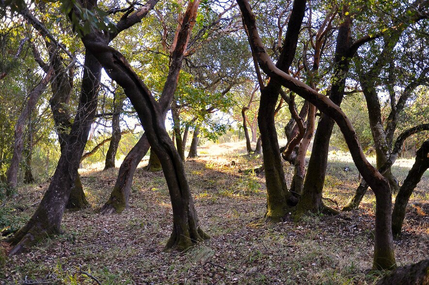 More Photos Of 128 Ridgecrest Road, Kentfield Land For Sale