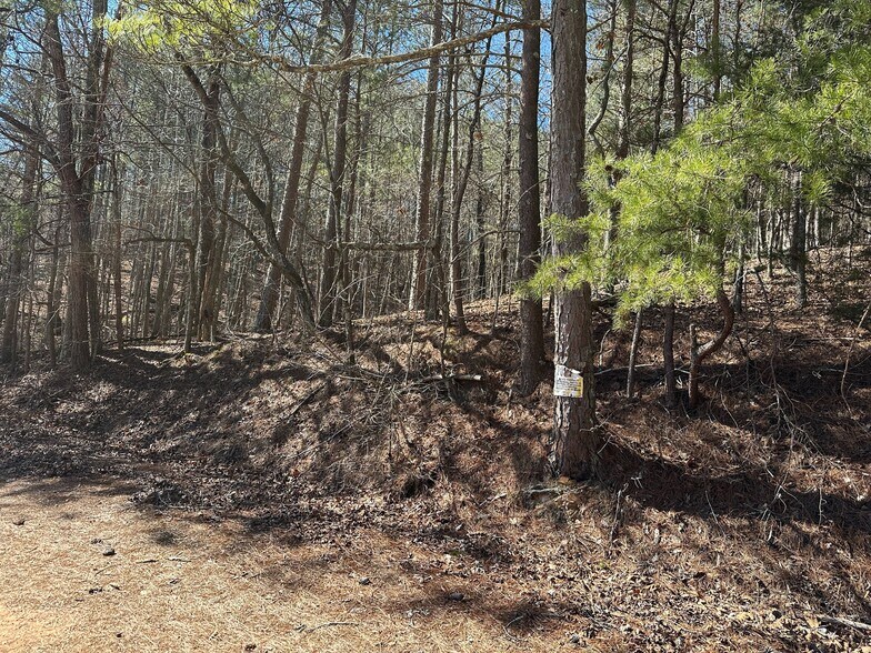 More Photos Of 3472 Prior Station Rd, Cedartown Land For Sale