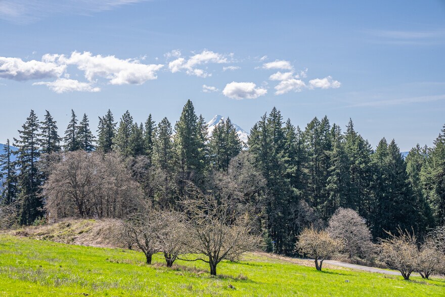More Photos Of SW Cherry Blossom Lane @ Eyrie, White Salmon Land For Sale