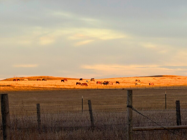 More Photos Of 24900 Spring Draw Rd, Scenic Land For Sale