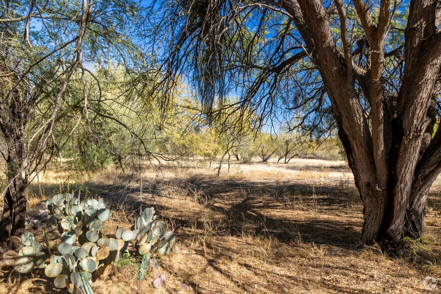 More Photos Of 1333 S Abrego Dr, Green Valley Land For Lease