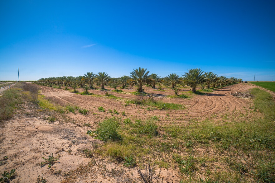 More Photos Of 17587 S Ave 3 1/2 E, Yuma Land For Sale