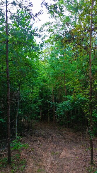 More Photos Of 00 221 Highway South Hwy, Laurens Land For Sale