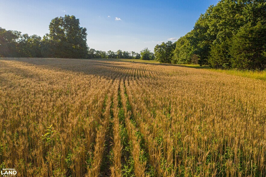 More Photos Of 178 Oak Creek Ln, Bland Land For Sale