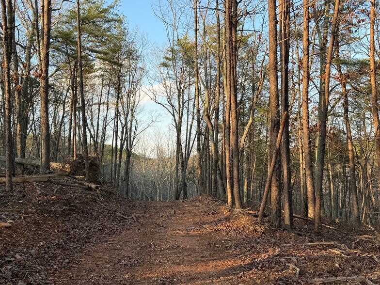 More Photos Of 260 Arnold Rd NE, Fairmount Land For Sale