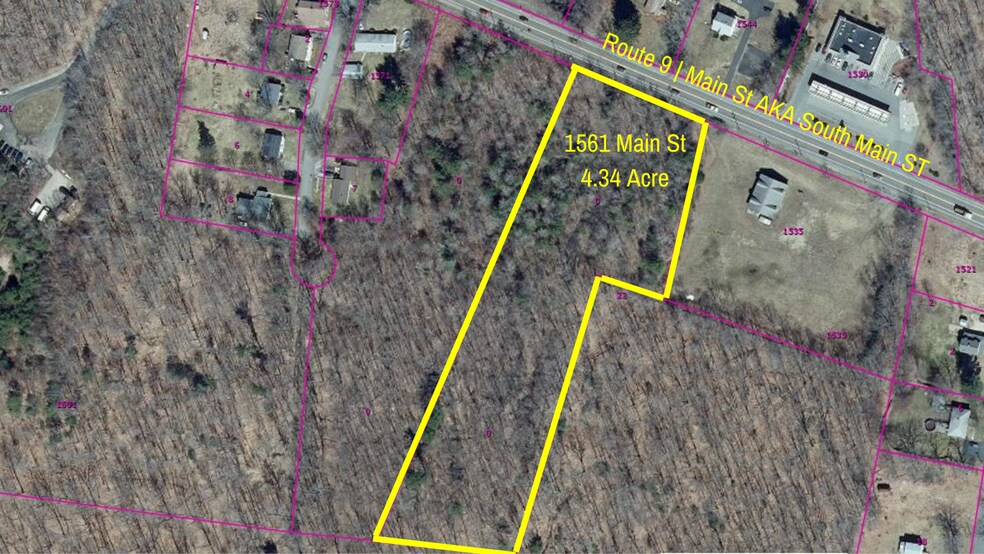 Primary Photo Of 1561 Main St., Leicester Land For Sale