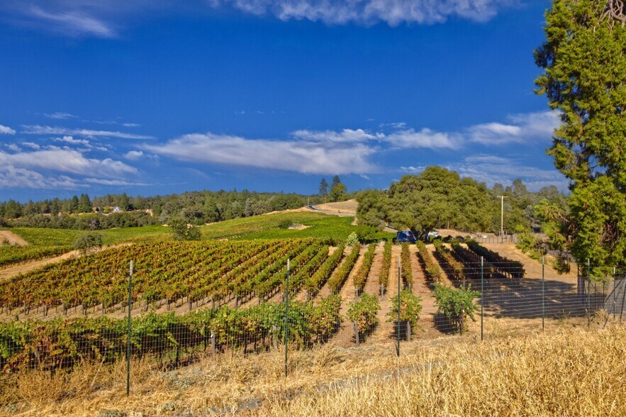 More Photos Of 5200 Di Arie Road Rd, Mount Aukum Land For Sale