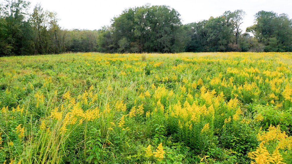 More Photos Of 5015 FM 561, Simms Land For Sale