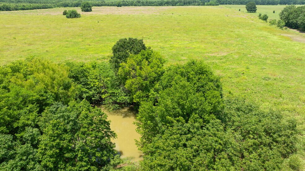 More Photos Of 449 County Road 1357, Clarksville Land For Sale
