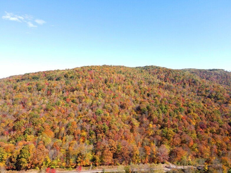 More Photos Of 0 Sewell Creek Rd, Meadow Bridge Land For Sale