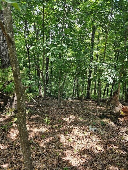 More Photos Of Blueberry Ln, Lowell Land For Sale