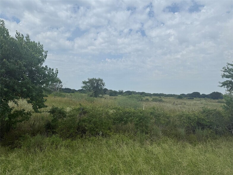 Primary Photo Of 0 County Road 25 Rd, Damon Land For Sale