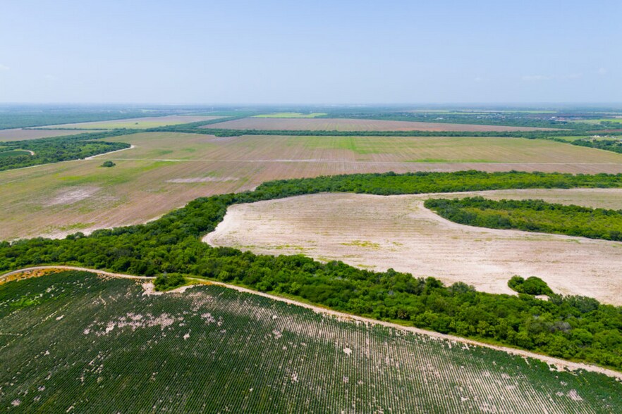 More Photos Of FM 1421 Rd, Brownsville Land For Sale