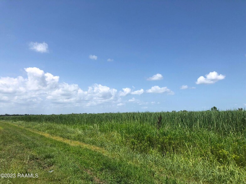 More Photos Of TBD Trahan Rd., New Iberia Land For Sale