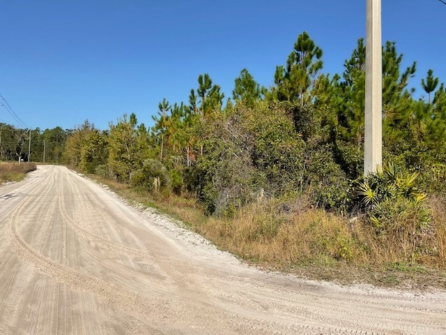 Primary Photo Of 14163 Arnold Rhoden Road, Sanderson Land For Sale